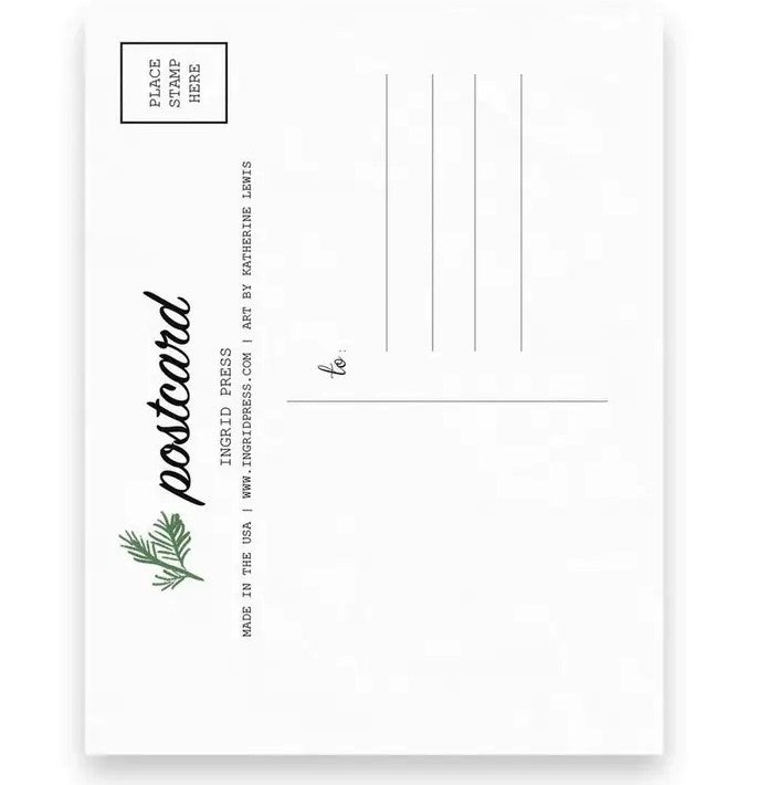 Holiday Racoon Postcard