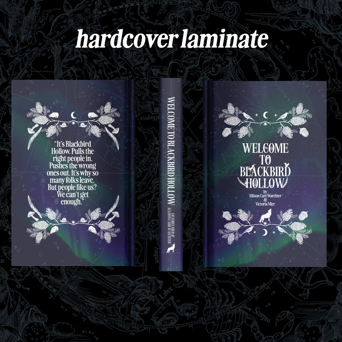Welcome to Blackbird Hollow (Blackbird Hollow #1) - Victoria Mier & Allison Carr Waechter
