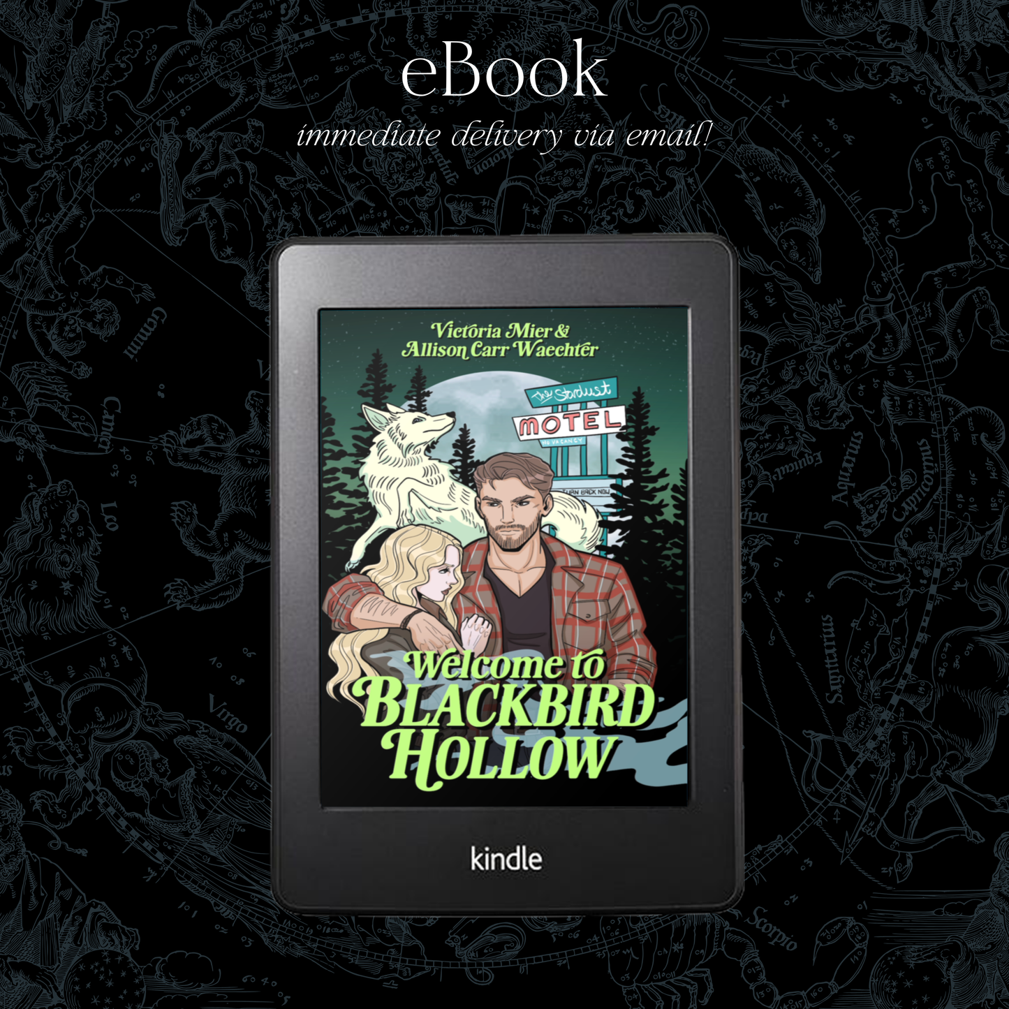 Welcome to Blackbird Hollow (Blackbird Hollow #1) - Victoria Mier & Allison Carr Waechter